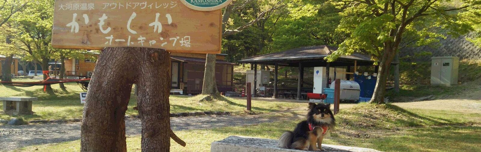 大河原温泉アウトドアヴィレッジ かもしかオートキャンプ場の写真