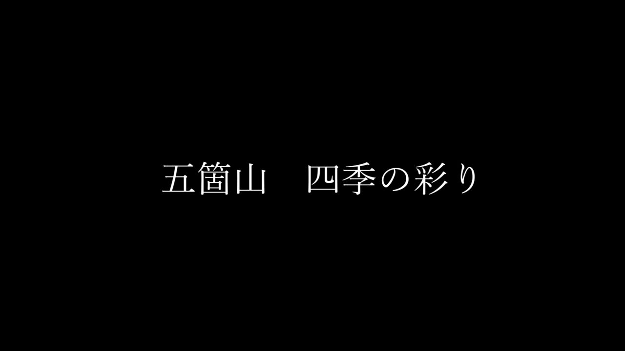 桂湖オートキャンプ場の写真