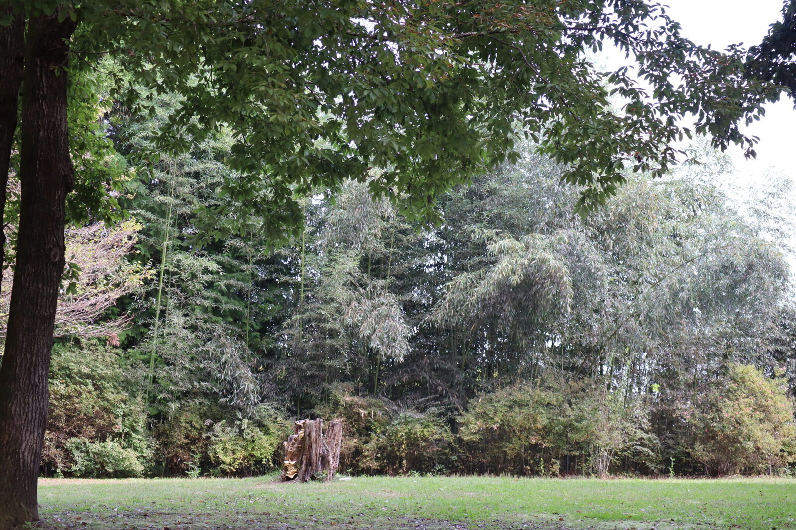 日光だいや川公園オートキャンプ場の写真