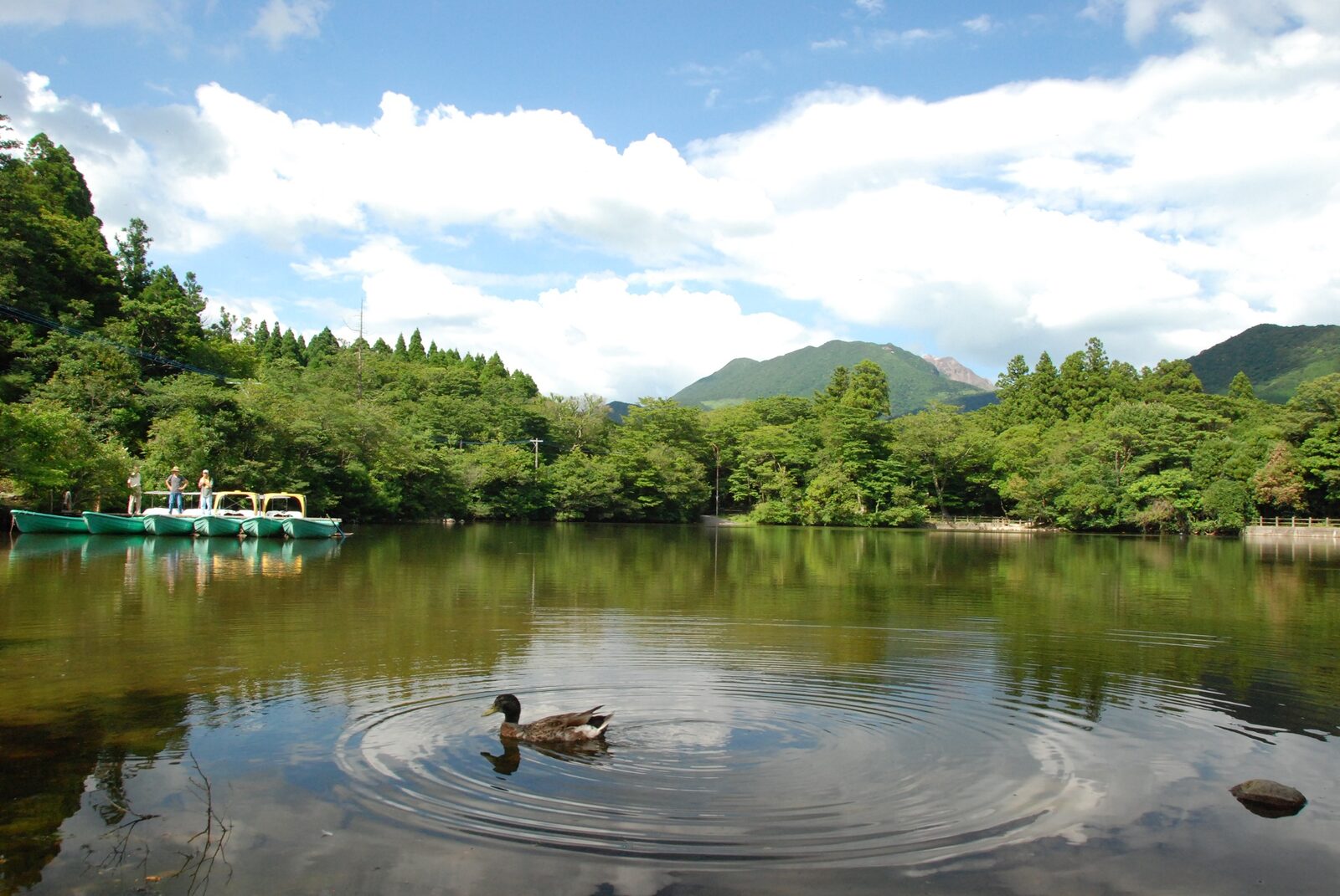 白雲の池キャンプ場の写真