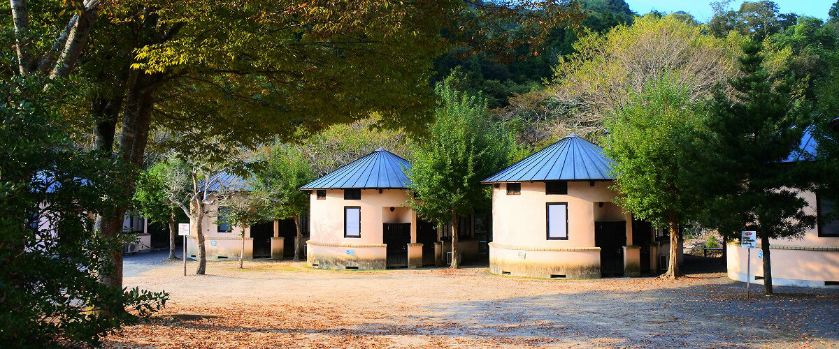 柏原渓谷キャンプ村 TaTuTaの森の写真